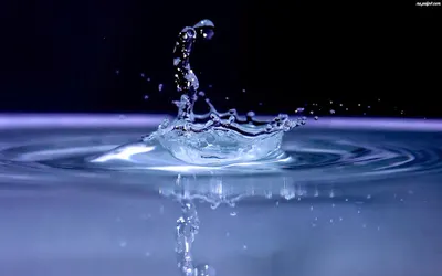 Budnik Marcin, Psychiatra, Gabinet Psychiatryczny